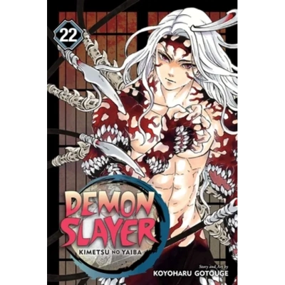 demon slayer vol 22.webp