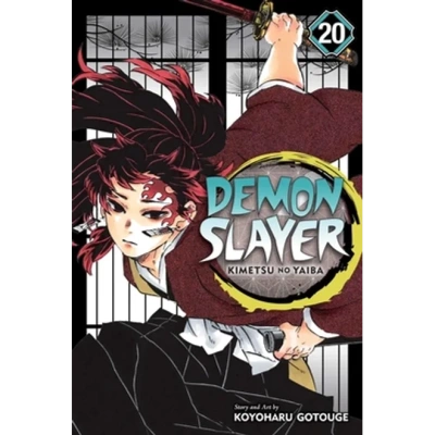 demon slayer vol 20.webp