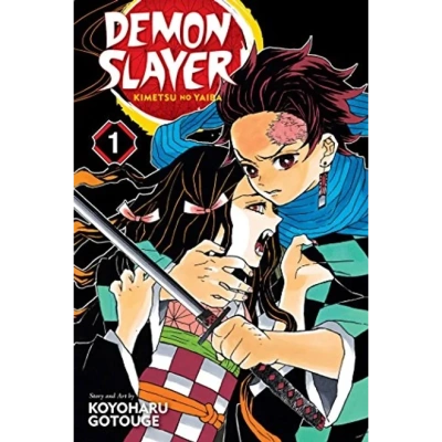 demon slayer vol 1.webp